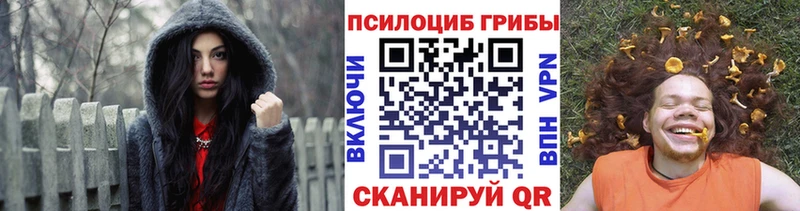 Псилоцибиновые грибы Psilocybe  Каргополь 
