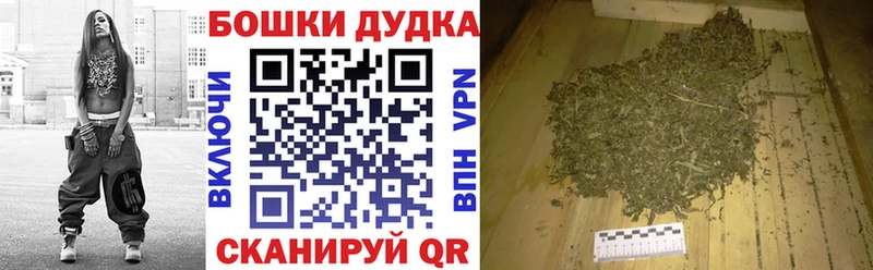 Марихуана сатива  закладка  Каргополь 